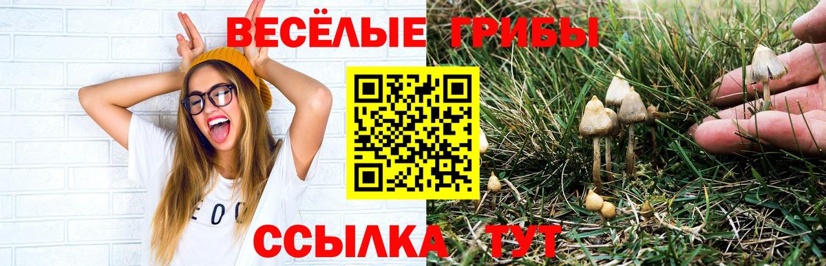 Галлюциногенные грибы Psilocybine cubensis  Вход с VPN  Рыбинск  Псилоцибиновые грибы прущие грибы 