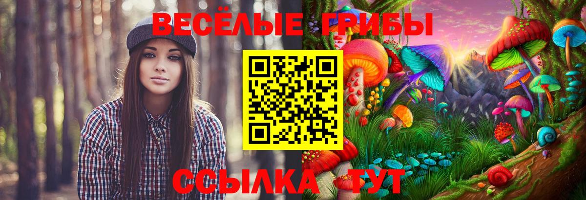Галлюциногенные грибы MAGIC MUSHROOMS Рыбинск